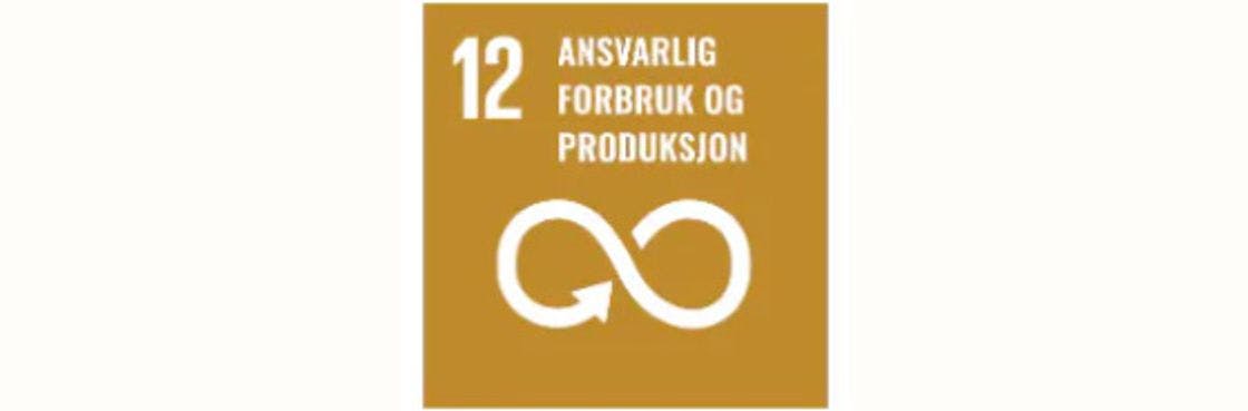 UN's Sustainabilty Goal #12: Responsible consumption and production